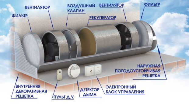Плесень на подоконнике